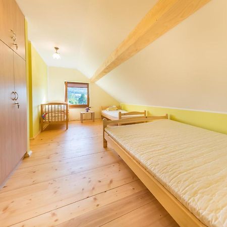 Villa Bobrowka à Solina  Extérieur photo