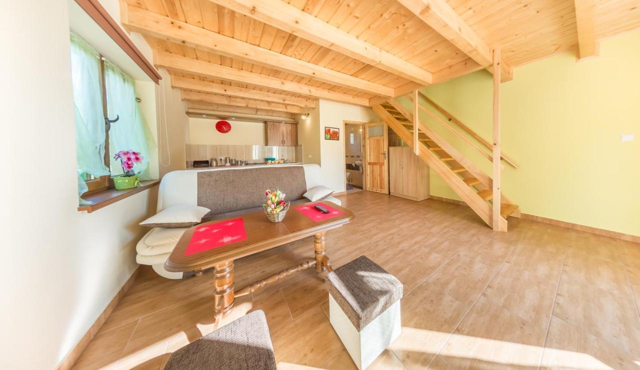 Villa Bobrowka à Solina  Extérieur photo